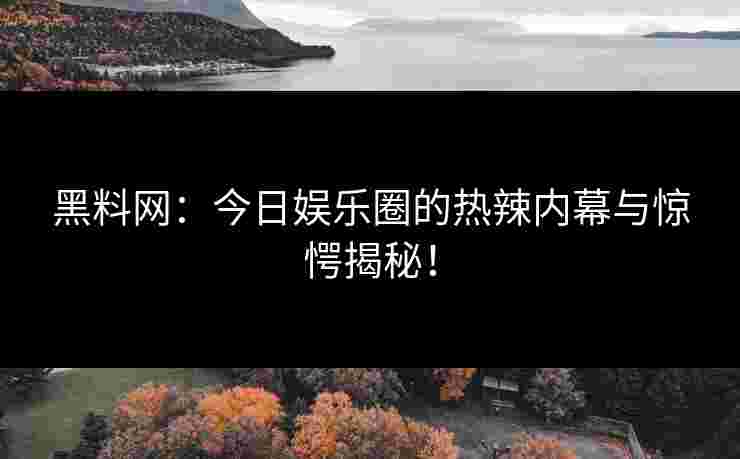 黑料网：今日娱乐圈的热辣内幕与惊愕揭秘！